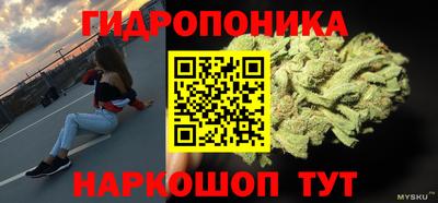 прущие грибы Краснокаменск