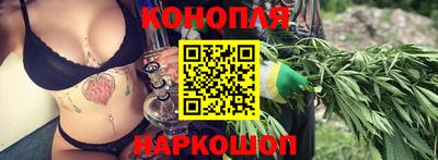 прущие грибы Краснокаменск