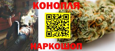 прущие грибы Краснокаменск