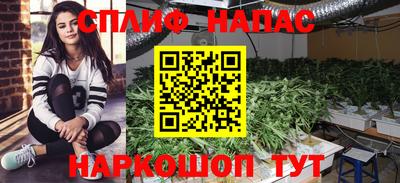 PSILOCYBIN Краснознаменск